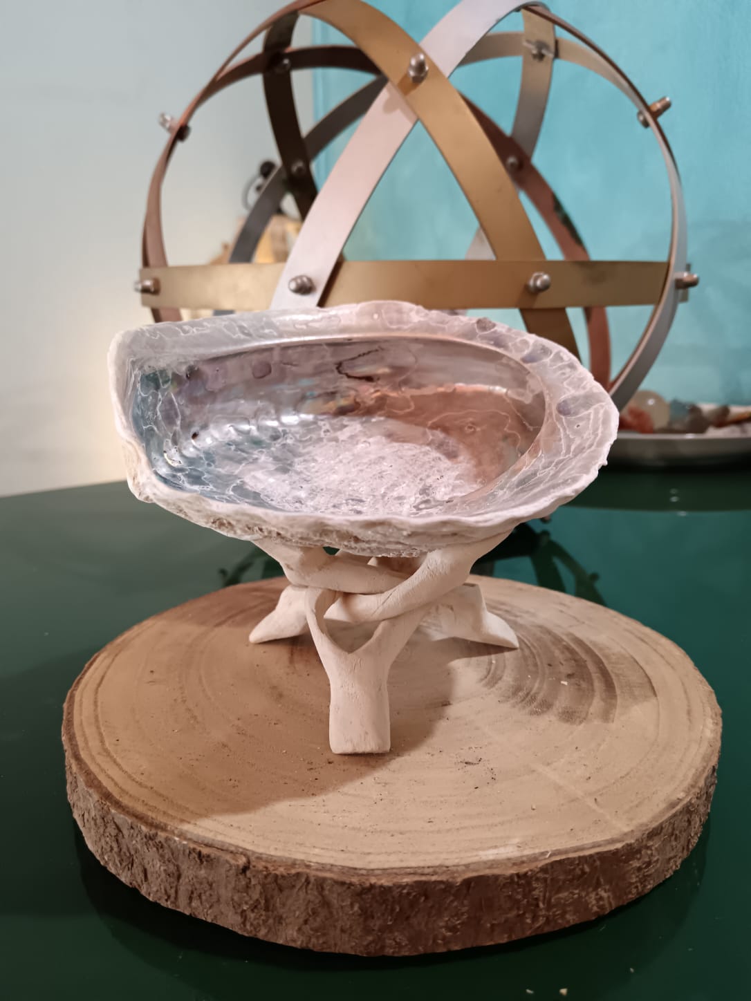 Abalone Haliotis Linnaeus Madreperla per Smudge e Palo Santo